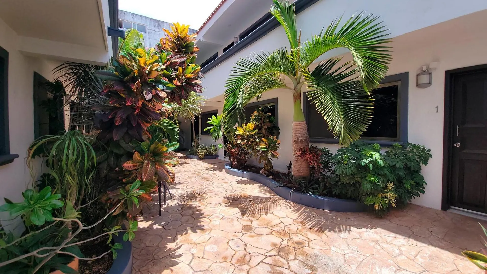 Saela Hotel Boutique Πλάγια Ντελ Κάρμεν